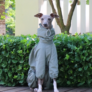 <span class=keywords><strong>Chubasquero</strong></span> italiano pequeño para galgos, con protección solar e impermeable, para whippets, <span class=keywords><strong>chubasquero</strong></span> ajustable con cremallera y cuello alto para mascotas - Product Image 5