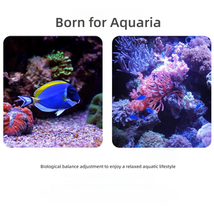 Aqua Excel AE-HPL180/230 <span class=keywords><strong>Aquarium</strong></span> Gefluïdiseerde Rollerreactor Biologische Afbraak Voor Koraalrif Zoutwatertanksysteem - Product Image 5