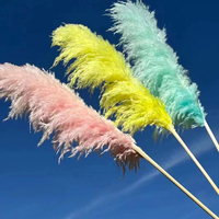 Grande herbe de pampa blanchie couleur blanche neige 45 pouces de haut herbe de pampa blanche séchée pour arche de mariage