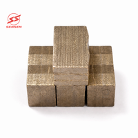 SS-S033 Pièces d'outillage industrielles fouries par l'usine, segments diamantés pour granit 24*13/14*8.6/9.2mm pour lame de scie simple avec surface polie