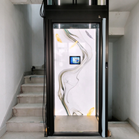 Ascenseur moderne de petite taille pour 1 à 2 personnes, plateforme lisse, ascenseur résidentiel pour passagers à vendre