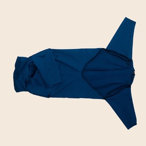 Qiqu Pet Supplies Custom New Designer Winter Dog body protezione UV tuta per animali domestici <span class=keywords><strong>a</strong></span> quattro zampe hot spot healing per bassotto - Product Image 6