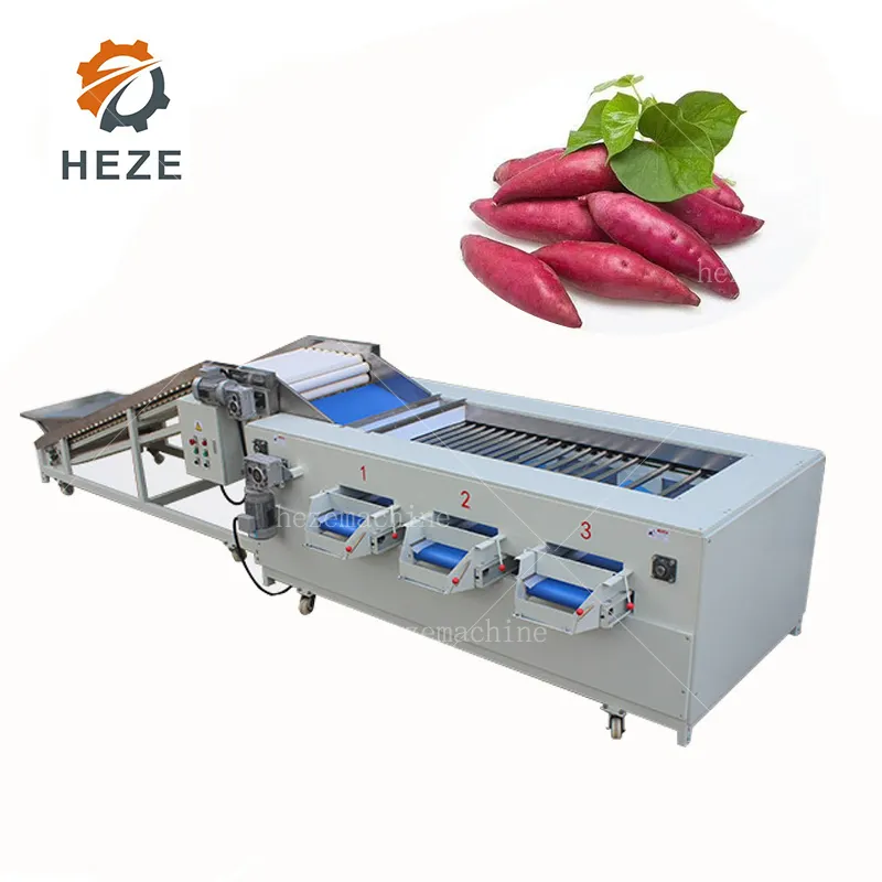 Otomatik tatlı patates sıralama makinesi otomatik patates boyutu sıralayıcısı makineleri sebze radyal greyder satılık iyi fiyat