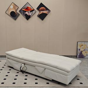 Canapé-lit simple relax pour maison moderne pour le salon canapé-lit simple - Product Image 3