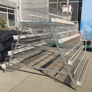 A-Type Laag Batterij Kooi Dierenkooien Gegalvaniseerd Staaldraad Duurzaam 3 Tiers 5 Deuren Huis Boerderij Gebruik 1 Jaar Garantie - Product Image 2
