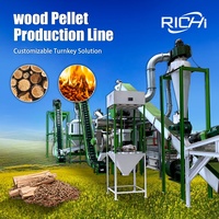 Ligne de production de granulés de bois industriels 1-2 TPH 2TPH avec certificat CE