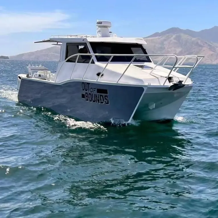 7.9m Luxury Yacht Aluminum Catamaran Power Speed Professional Fishing Boat for Sale Philippines