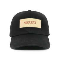 Luxe vintage zwarte bedrukte en met patch label verseelde groothandel 6-panel 100% katoenen baseball caps voor volwassenen