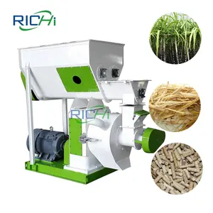 RICHI Wood Pellet Mill Manufacturer Direct Supply 1 Ton Per Hour 90kw Straw Sugar Cane Bagasse Pellet Making Machine Price