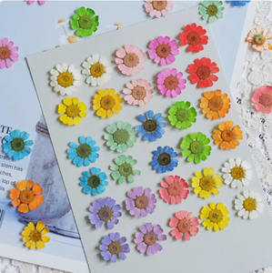 12 pièces/sac de camomille teintée à la main signets cire sceau résine époxy artisanat <span class=keywords><strong>plante</strong></span> naturelle pressée fleurs séchées - Product Image 5