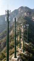 Poteau électrique en plastique renforcé de fibres de verre à haute isolation, poteau utilitaire GRP pour une transmission de l'énergie sécurisée