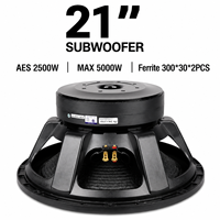 Subwoofer professionnel 21 pouces 2500W RMS, haut-parleur PA haute puissance, bobine vocale 150mm, double aimant 300mm pour stade, concert, scène