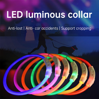 Accessoires Offre Spéciale pour animaux de compagnie USB Rechargeable Light Up Cat Night Safety Clignotant Glow Dark Collar Led Para Perros Pet Led Collar