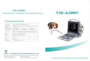 YSB-K2000V Geysendeerde Dierlijke Veterinaire Kleur <span class=keywords><strong>Doppler</strong></span> Draagbare Echografie Laptop Dierenarts Echografie Scanner Huisdier Echografie Kleur 3d - Product Image 3