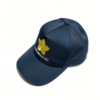 Casquette de camionneur personnalisée brodée de haute qualité, perforations découpées au laser, imperméable, 5 panneaux, casquette perforée à fermeture rapide