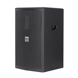 Sistema Audio Professionale TR12 Cassa Acustica Passiva Singola da 12 Pollici in Legno per Palco e Karaoke per Intrattenimento - Product Image 4