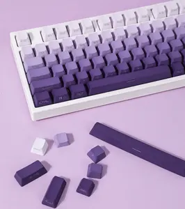 Benutzer definierte mechanische Tastatur Tastatur kappe Tastatur kappe mit zwei Linsen DIY benutzer definiertes Profil Dye Sublimate PBT-Gaming-Tastatur kappe