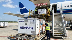 Transporte de carga de <span class=keywords><strong>China</strong></span> MINSK Professional One-Stop Door-<span class=keywords><strong>to</strong></span>-Door Air + Express <span class=keywords><strong>Logistics</strong></span> Bielorrusia/Kirguistán 2-3 días Precio de tránsito - Product Image 4