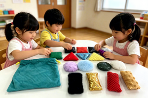 Développez la motricité fine des bébés ayant des besoins spéciaux : 12 jouets sensoriels texturés en forme de sacs de haricots pour l'autisme avec sac de rangement - Product Image 2