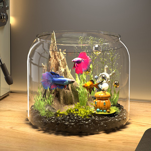 <span class=keywords><strong>Aquarium</strong></span> de bureau rond moderne en plastique transparent écologique pour poissons rouges et plantes vertes - Product Image 4