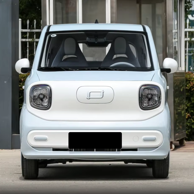 Hot Sell Cheap Low Price Galloping Pony Mini EV 222km Pure Electric Range High-Power Electric Vehicle for Sale