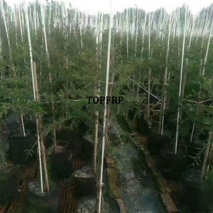 UV Resistant FRP <b>Garden</b> Stakes, Nursery Stakes, Tree Stakes - Product Image 5