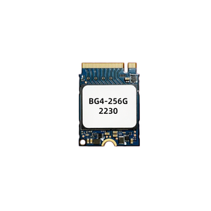 Ổ cứng thể rắn M.2 BG4 2230 dành cho máy tính xách tay BG4-256G-2230 - Product Image 1