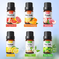 Huiles Essentielles Biologiques Pures de Plantes : Arbre à Thé, Sakura, Ginseng, Gingembre, Menthe Poivrée, Citronnelle – Huiles Essentielles d'Aromathérapie