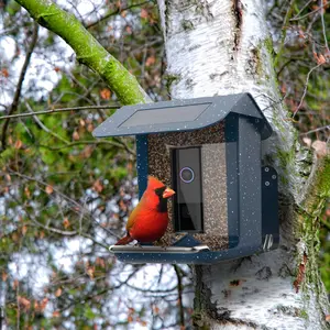 Pinelake户外装饰鸟种室外喂食器花园庭院室外野生鸟类悬挂喂食器