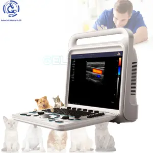CE Ultrasound Portable Color Doppler human/vet Ultrasound Machine With Difference Probes