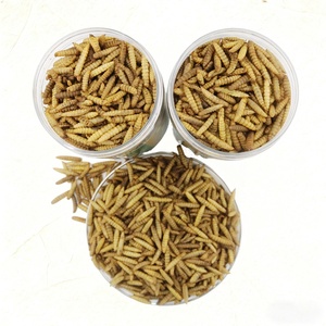 Larvas de Mosca Soldado Negra Orgánicas Bioforte, Alta en Proteínas, Sin Olor, Esterilizadas por Microondas, Alimento para Aves de Corral, Pollos y Patos - Product Image 3