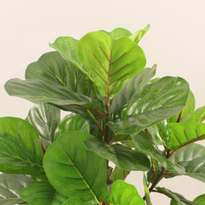 ต้นไม้ประดิษฐ์ใบมะเดื่อพลาสติก/ผ้า รุ่น JWS4037 เป็นมิตรกับสิ่งแวดล้อม ขนาด 120-180 ซม. สำหรับตกแต่ง<span class=keywords><strong>บ้าน</strong></span>และสวน - Product Image 3