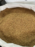 Fenugrec biologique/Poudre de fenugrec-Haute pureté et nutriments riches