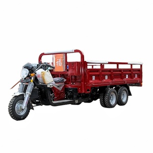 Triciclo de Carga de 300cc 350cc en Oferta, Motocicleta Triciclo de Carga con 9 Ruedas para Transporte de Mercancías - Product Image 1