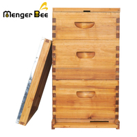 Nouvelle ruche à abeilles Menger Bee à 3 couches et 10 cadres, en bois de sapin, avec revêtement en cire, joint en queue d'aronde, pour élevage apicole