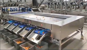 Multifunctional High-efficiency Stainless Steel Potato And <strong>Onion</strong> Sorting Machine - Product Image 3