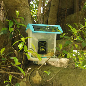 Caméra pour nichoir d'oiseaux sauvages sans fil avec IA pour identifier les espèces d'oiseaux, capture automatique de vidéos d'oiseaux et notifications - Product Image 2