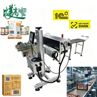 Machine de marquage laser haute précision pour la date de production et les marques de brevet, pour l'emballage de snacks, ligne de production d'emballages souples pour snacks