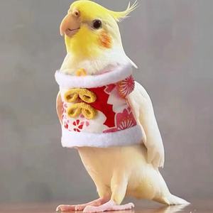 Grosir pakaian burung peliharaan pakaian burung beo pakaian Cockatiel - Product Image 1