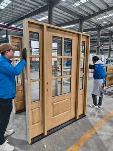 <span class=keywords><strong>Porte</strong></span> prémontée <span class=keywords><strong>en</strong></span> fibre <span class=keywords><strong>de</strong></span> verre avec 2 veilleuses, marron teinté, encastrée avec Alu. Lite entre le double verre clair trempé - Product Image 3