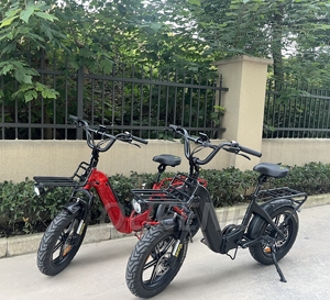 Queene 2024 Super Promotion 750 Watt Gros Pneu Neige Vélo Électrique Pliable Beach Cruiser Ebike Pour Les Femmes - Product Image 1