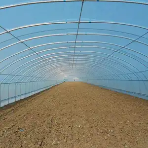 Sıcak satış poli tünel sera marul domates salatalık büyümek