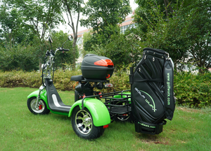Nuovo Scooter Triciclo Elettrico da Golf di Design Cinese a <span class=keywords><strong>Tre</strong></span> <span class=keywords><strong>Ruote</strong></span> con Sedile e Certificazione CE - Product Image 2