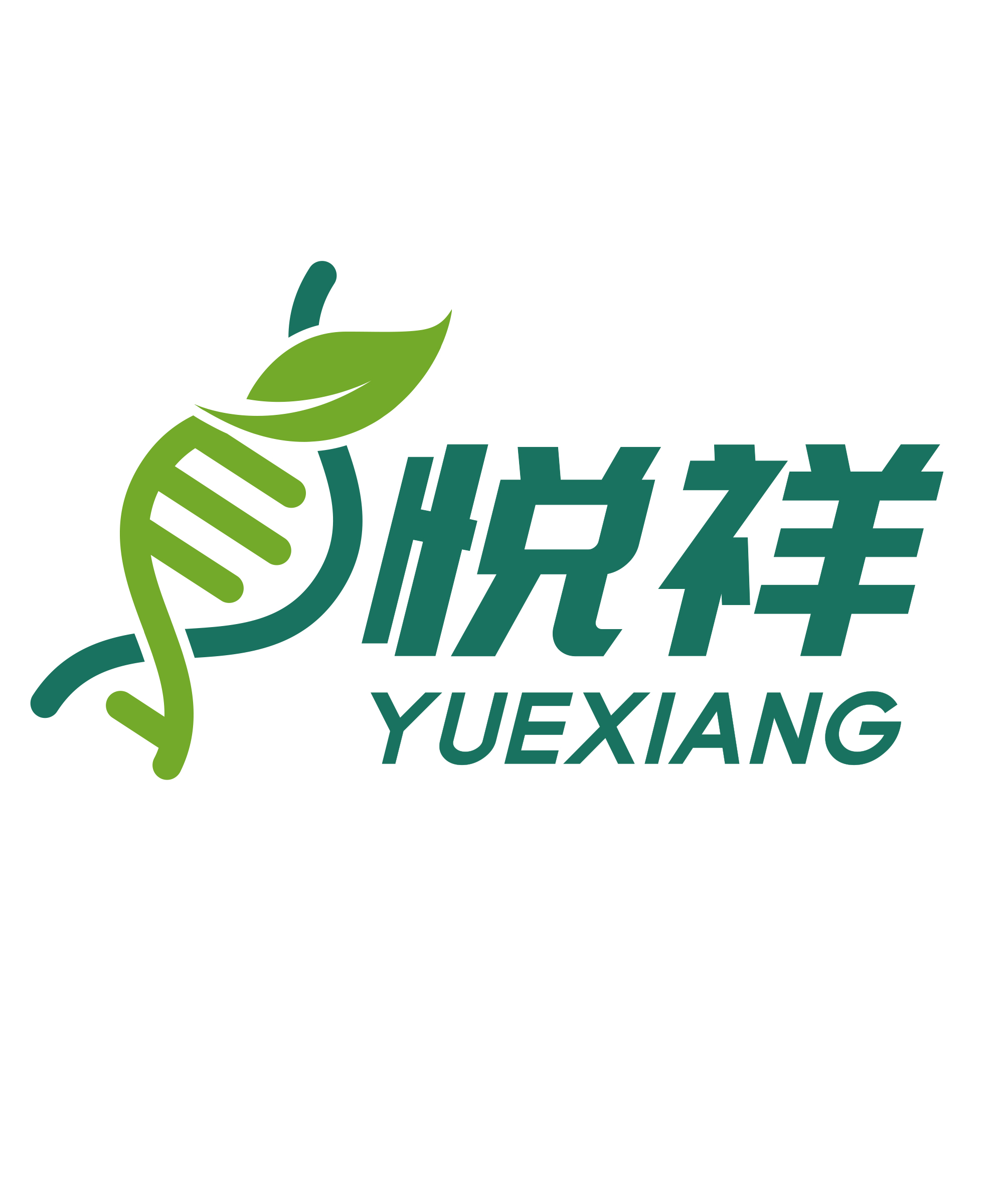 Weifang Yuexiang Chemical Co., Ltd. logo