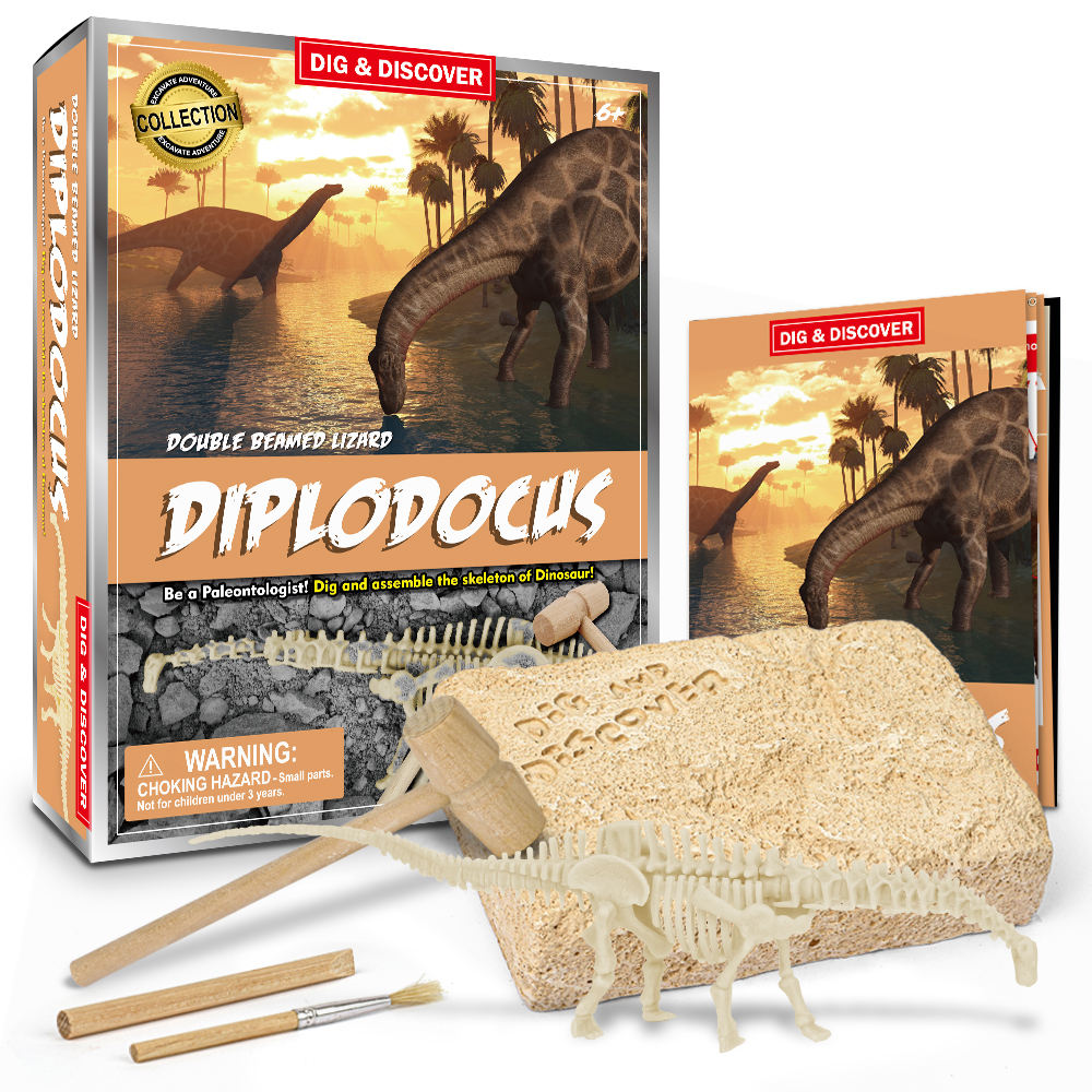 Diplodocus Kits Dig