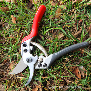 Hisaichiro Pruning Shears 40mm Blade Sk5 Steel <b>Butterfly</b> Structure For Fruit Tree <b>Gardening</b> Tools 20-30 Mm Trimming Diameter - Product Image 3