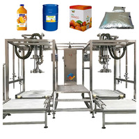 Geavanceerde, eenvoudig te bedienen, hoog-efficiënte automatische mango-sap- en puree-productielijn, turnkey plant