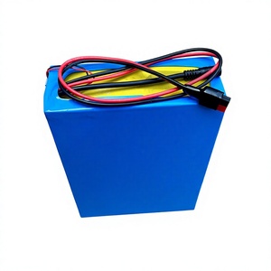 Paquete de Baterías de Iones de Litio Personalizado 2026, 24V-72V, 20Ah, Construcción Metálica, Compatible con Inglés, 350W 500W, Resistente a la Intemperie, para Vehículo Eléctrico - Product Image 1