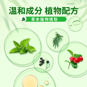 Huile antibactérienne Phoenix Oil 10ml, type rafraîchissant, flacon roll-on, baume essentiel - Product Image 5