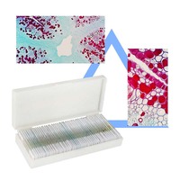 Factory 100 Kinds Microscope Prepared Slides Human Tissue Slides Human Histology Slides
